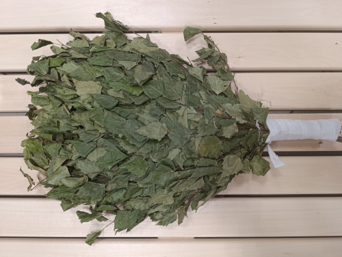 Веник БЕРЕЗА