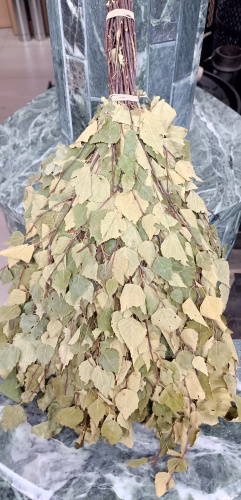 Веник БЕРЕЗА