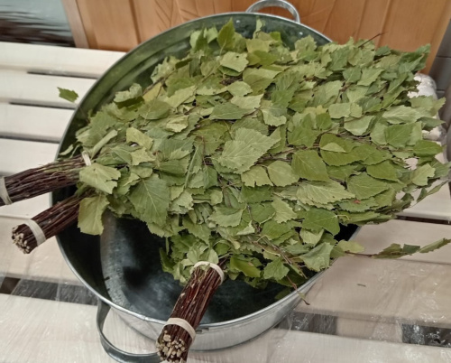 Веник БЕРЕЗА